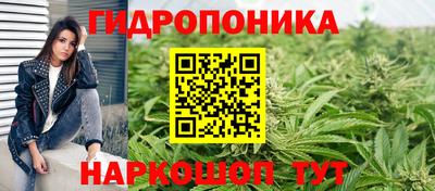 apvp Кунгур