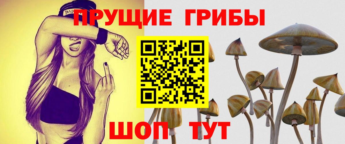 Галлюциногенные грибы Cubensis  где купить   Вход с VPN  Кизляр  Галлюциногенные грибы ЛСД 